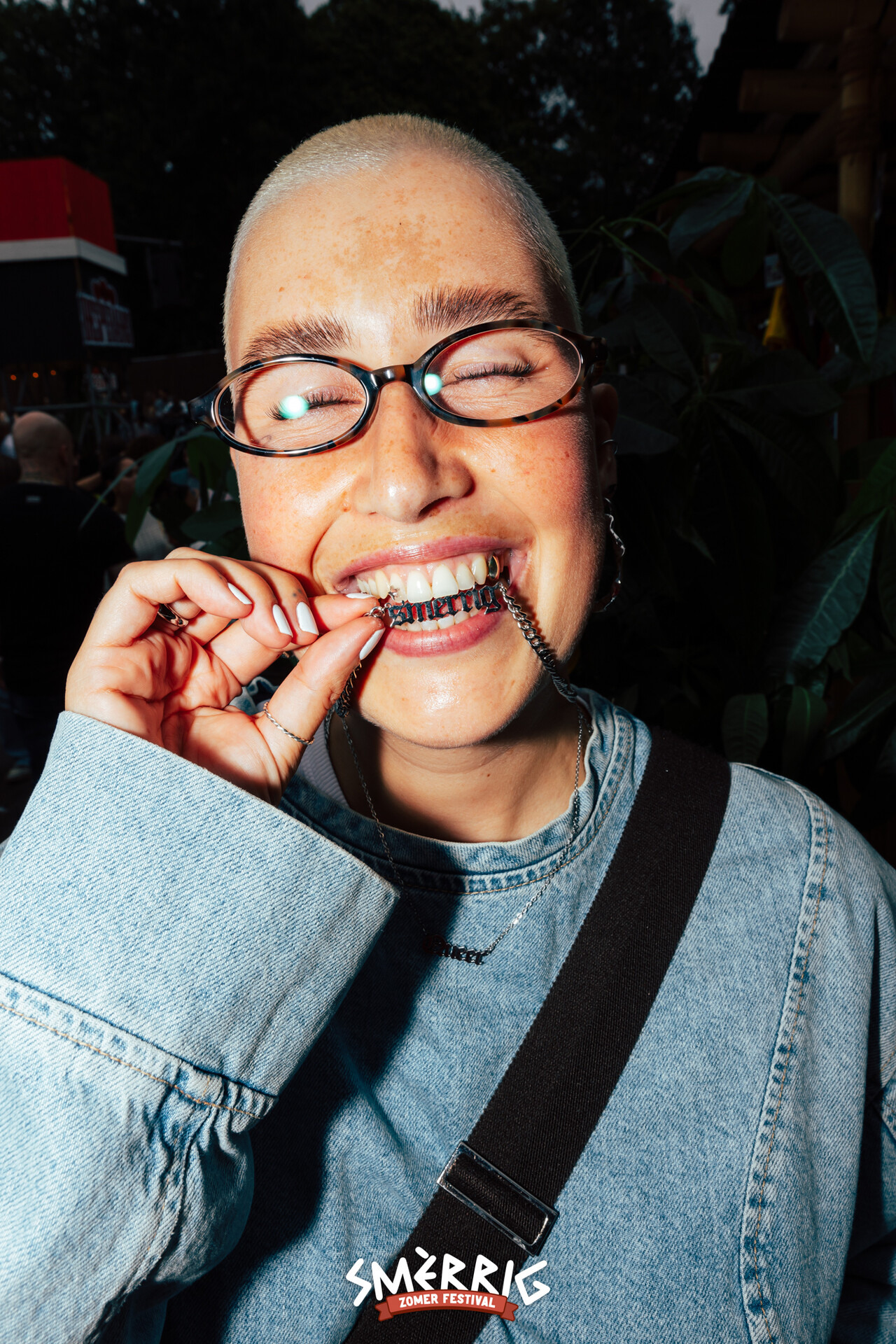 Sachahoebergen 23 BS2 A6533 jpg compressed